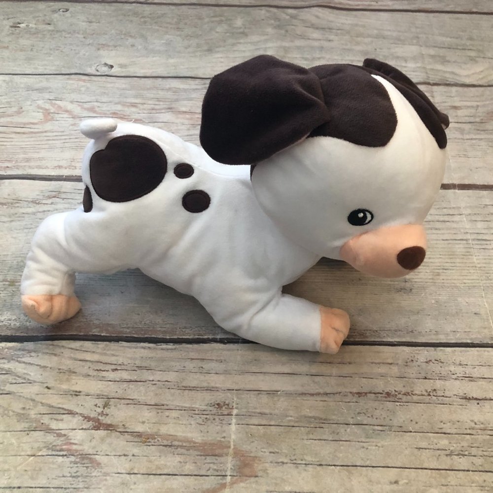 Poky Little Puppy Golden Books Plush, Like New Condition